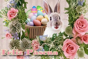 Imgenes conejos de Pascua